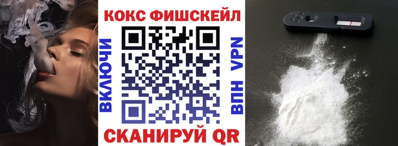 КОКАИН FishScale купить наркотики цена МЕГА Качканар
