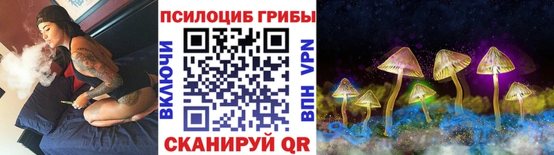 Псилоцибиновые грибы мухоморы  ОМГ ОМГ ССЫЛКА  Качканар 